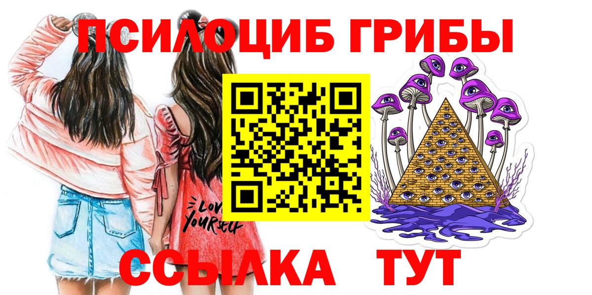 Псилоцибиновые грибы Psilocybine cubensis Карталы