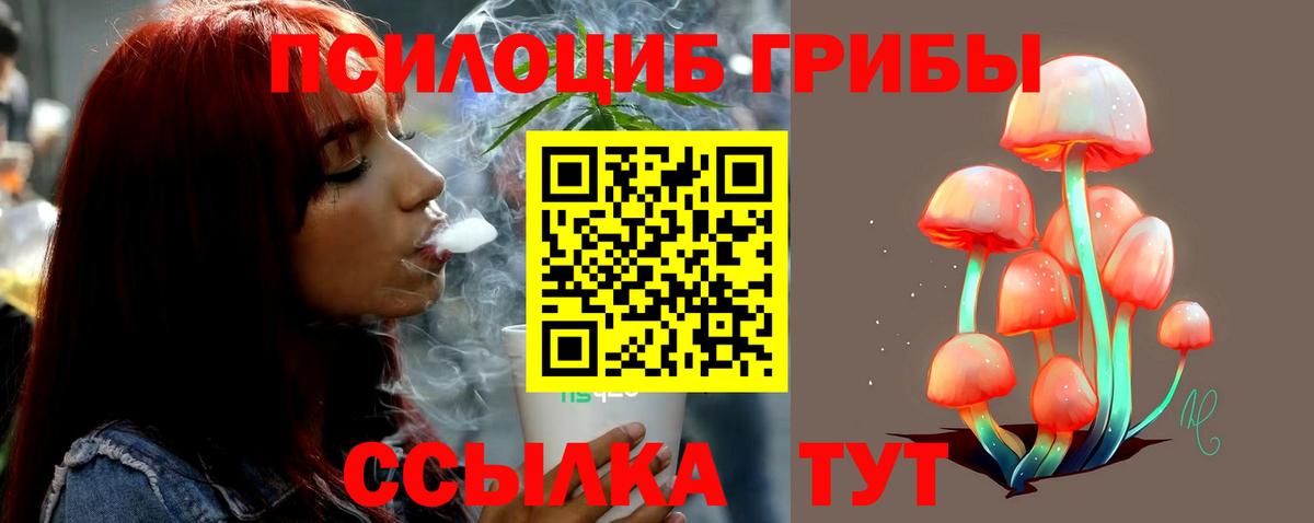 Карталы  где купить наркотик  Вход с VPN  Галлюциногенные грибы MAGIC MUSHROOMS  Псилоцибиновые грибы Cubensis 